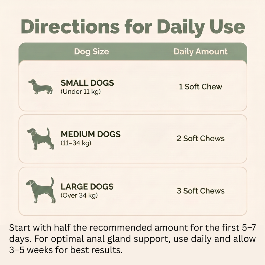 Healthy Paws- Digestive & Gland Health