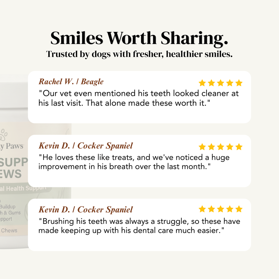 Healthy Paws- Dental Health Chews