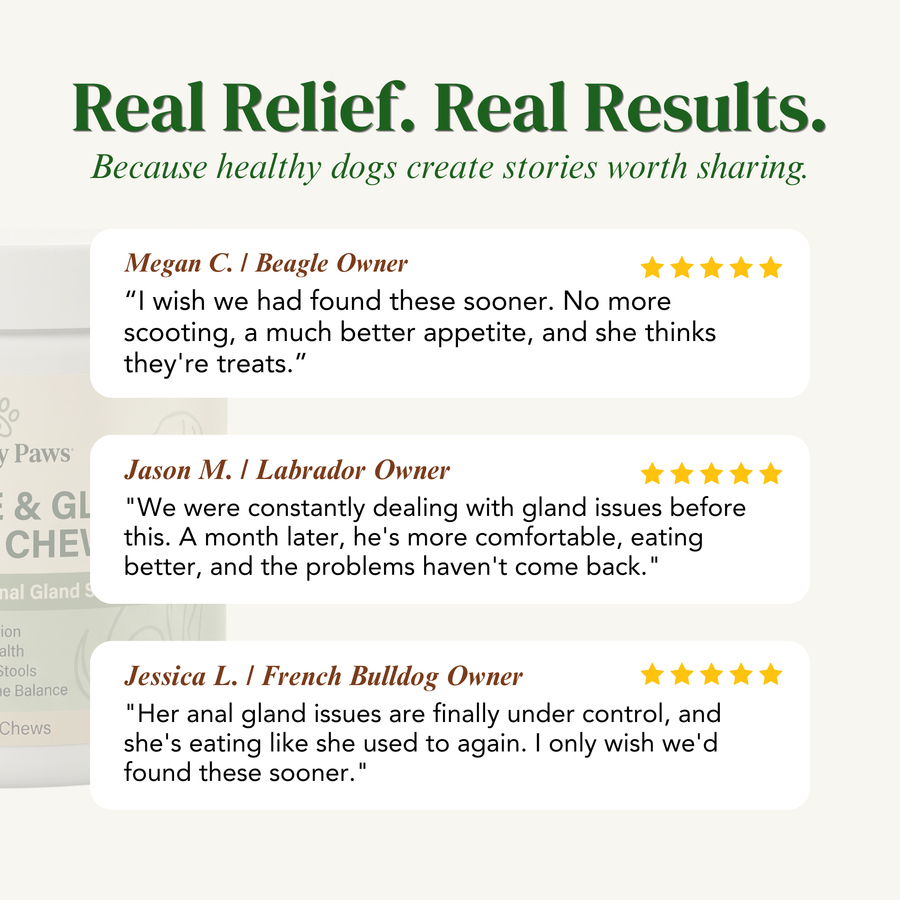 Healthy Paws- Digestive & Gland Health