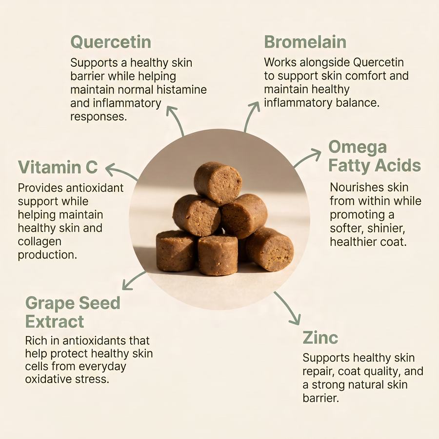 Healthy Paws- Skin, Coat & Allergy Support